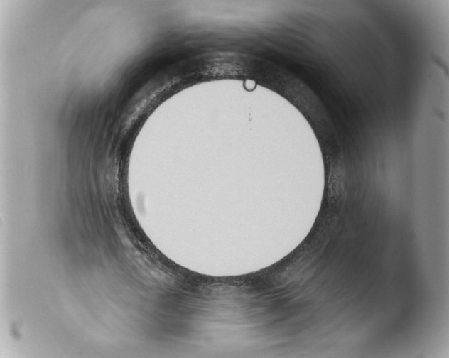 X0000103940722200810171814