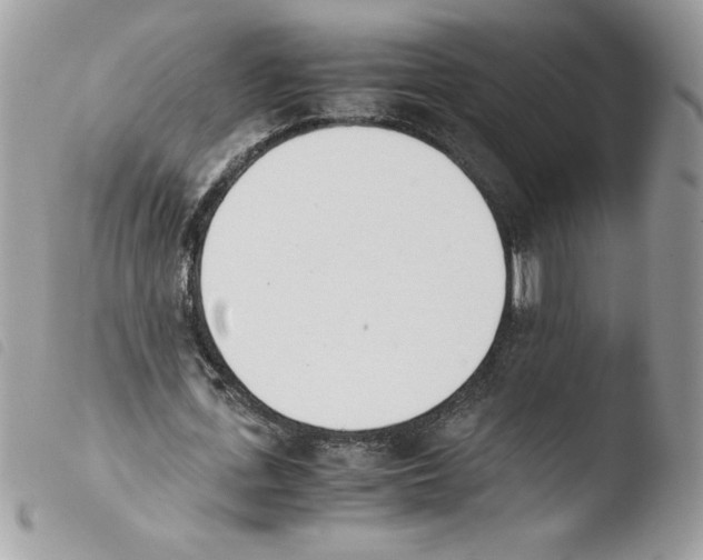 X0000103940723200810171814