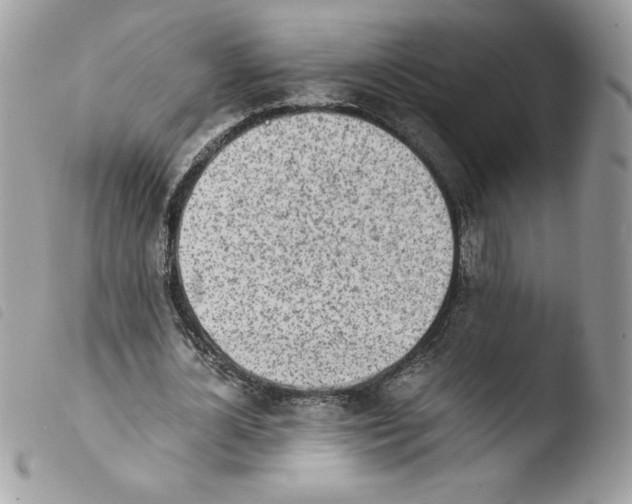 X0000103940724200810171814