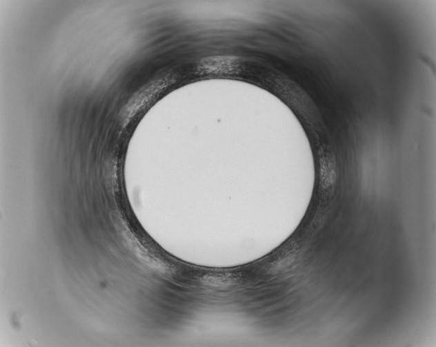 X0000103940725200810171814