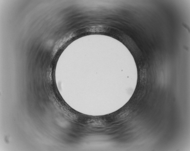 X0000103940727200810171814