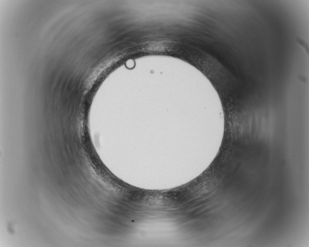 X0000103940728200810171814