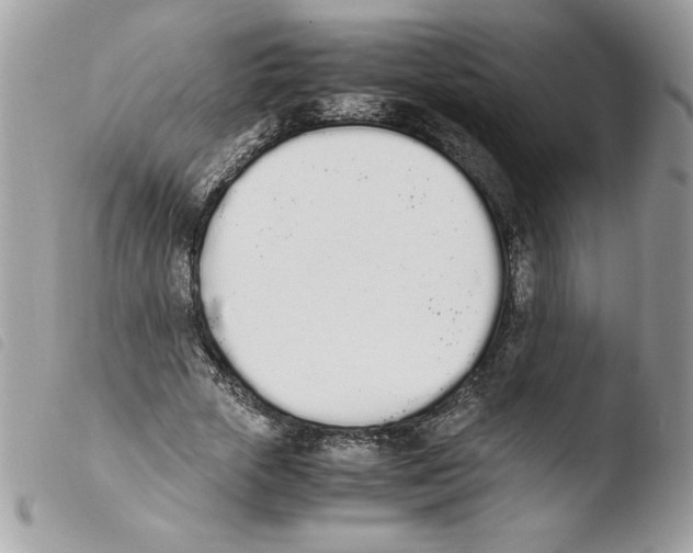 X0000103940729200810171814