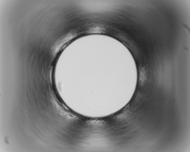 X0000103940730200810171814