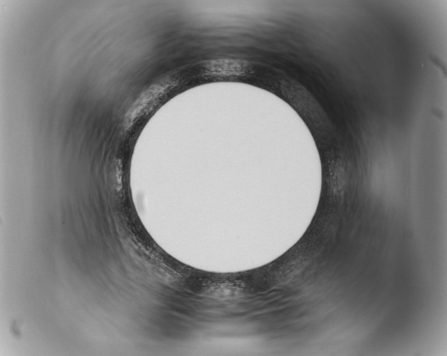 X0000103940731200810171814