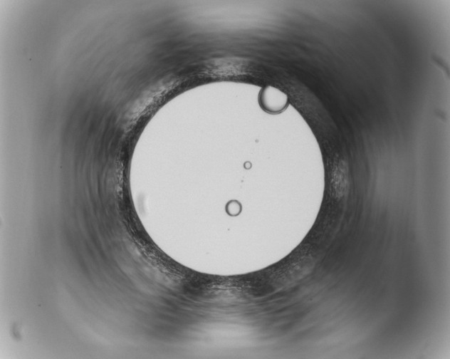 X0000103940732200810171814