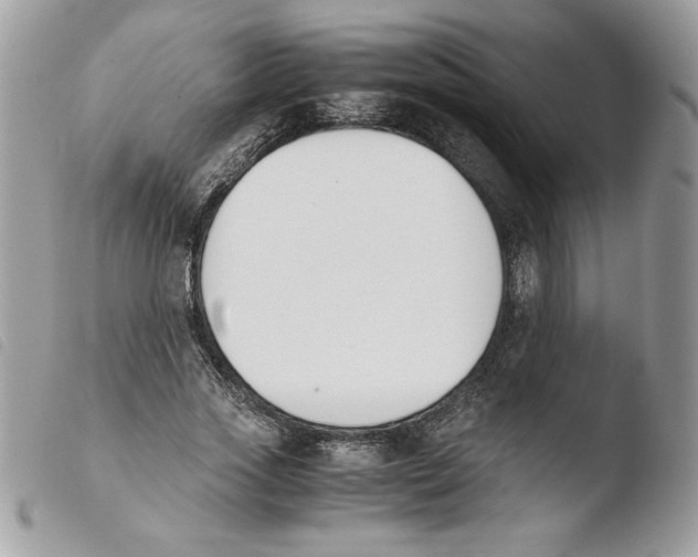 X0000103940733200810171814