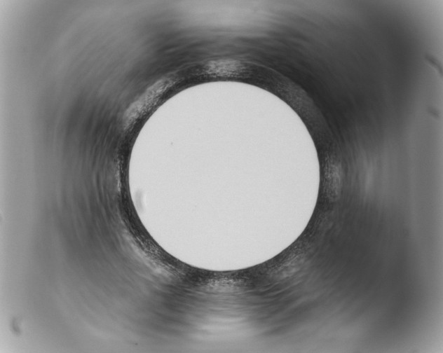 X0000103940734200810171814