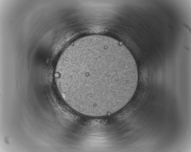 X0000103940736200810171814