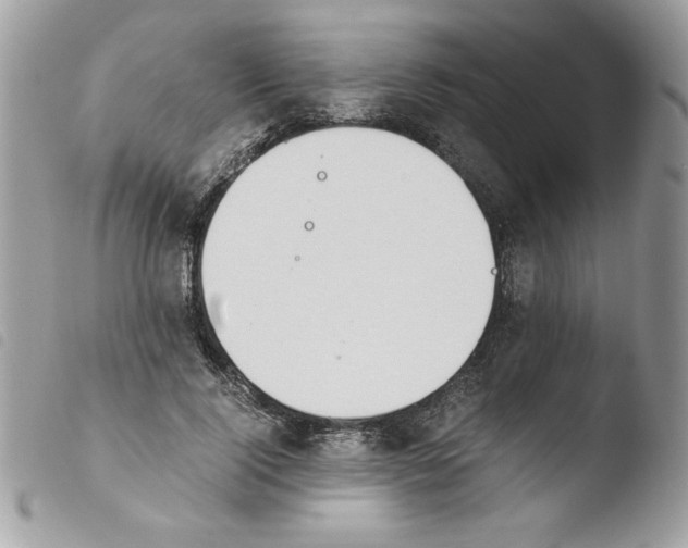 X0000103940740200810171814