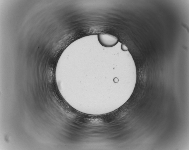 X0000103940741200810171814