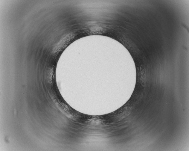 X0000103940742200810171814