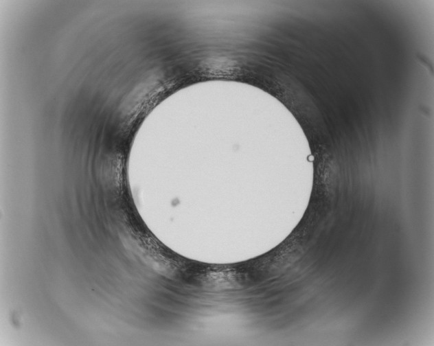 X0000103940744200810171814