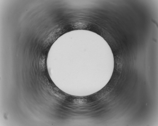 X0000103940745200810171814