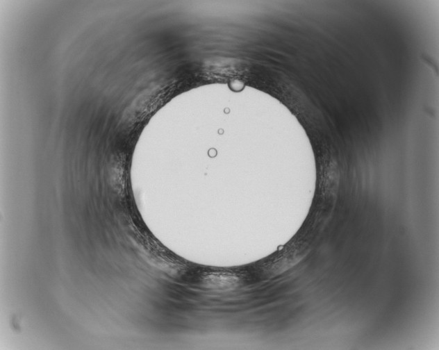 X0000103940749200810171814