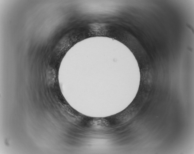 X0000103940752200810171814