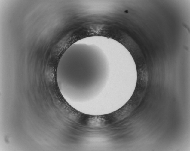 X0000103940754200810171814