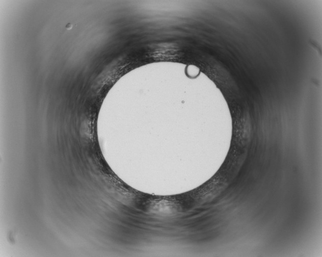 X0000103940755200810171814