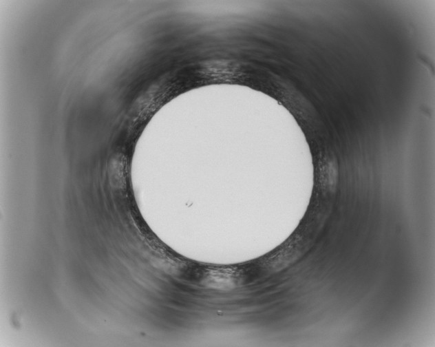 X0000103940757200810171815