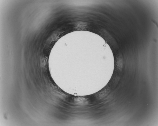 X0000103940759200810171815