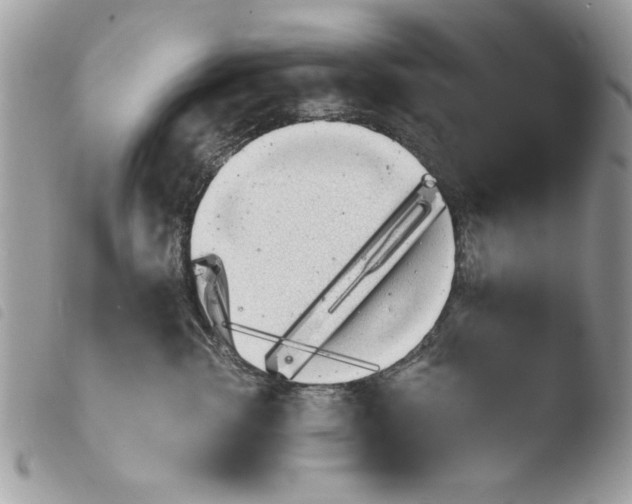 X0000103940762200810171815