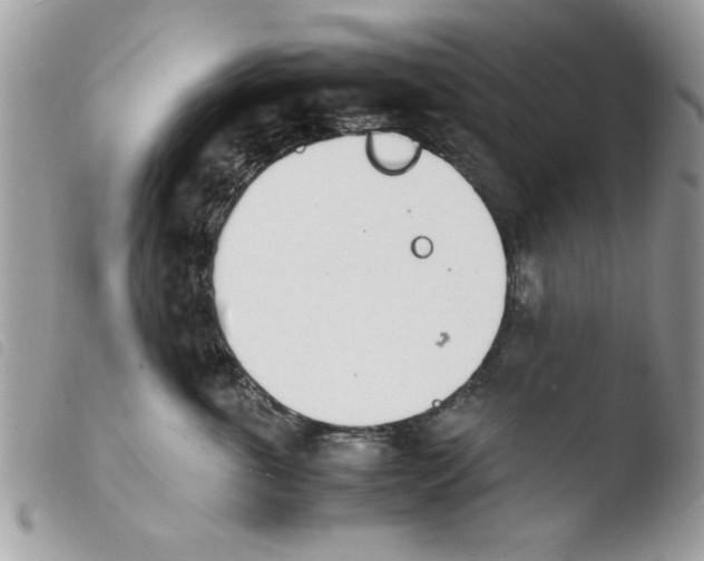 X0000103940763200810171815