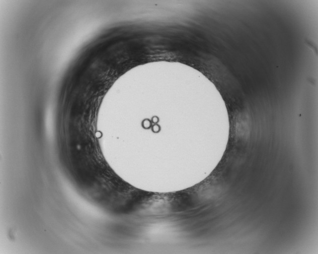 X0000103940764200810171815