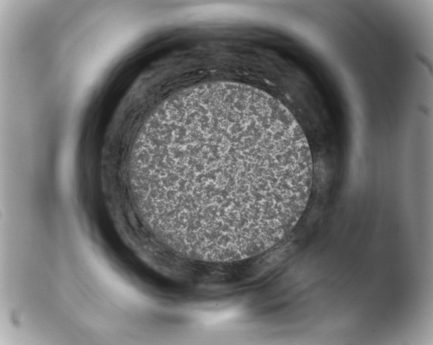 X0000103940765200810171815