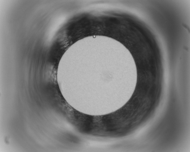 X0000103940766200810171815