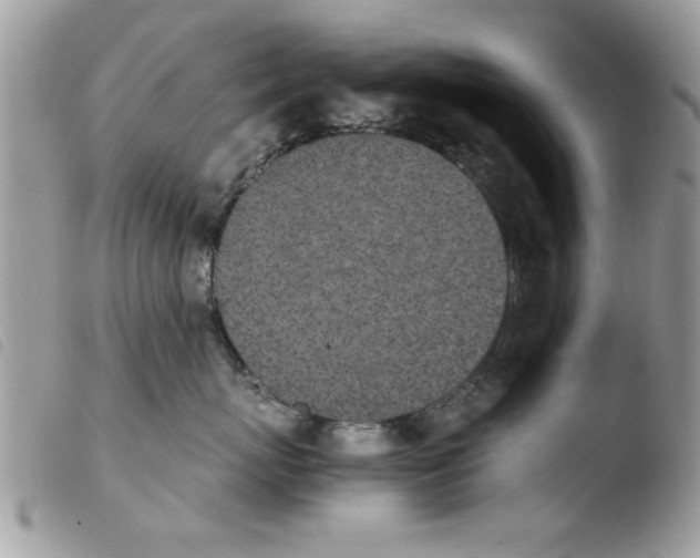 X0000103940767200810171815