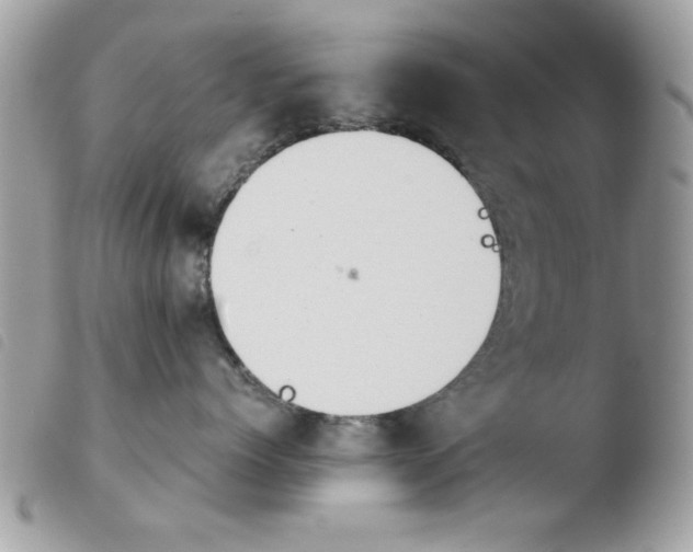 X0000103940768200810171815