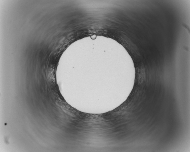 X0000103940770200810171814