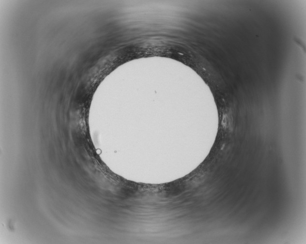 X0000103940771200810171814