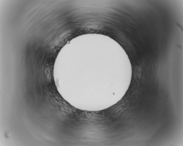 X0000103940774200810171814