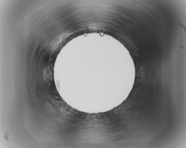 X0000103940776200810171814