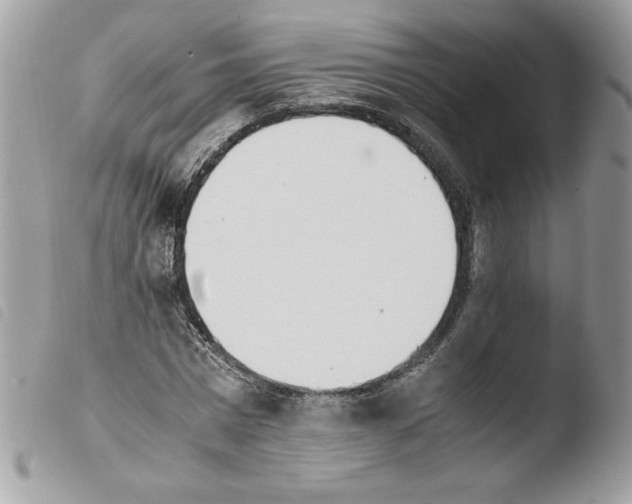 X0000103940777200810171814