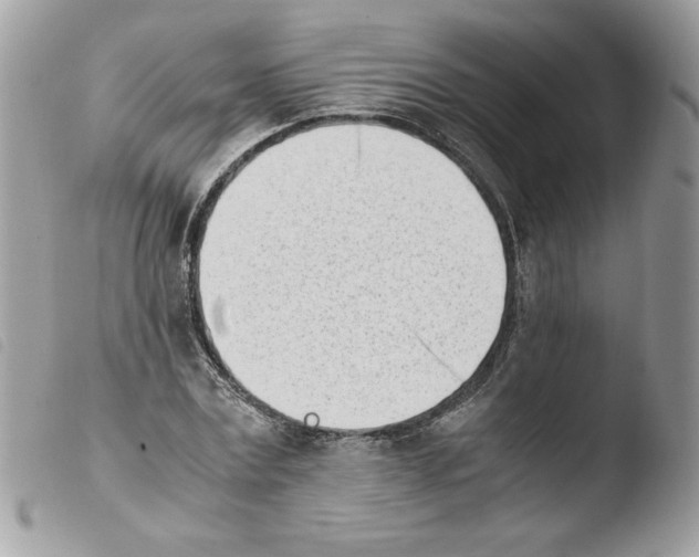 X0000103940779200810171814