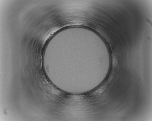 X0000103940781200810171814