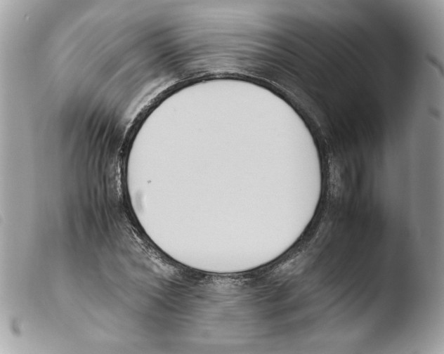 X0000103940782200810171814