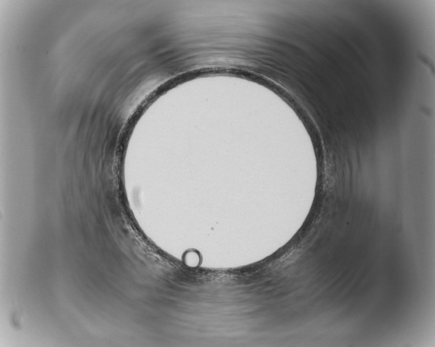 X0000103940783200810171814