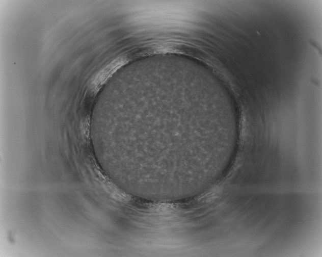 X0000103940785200810171814