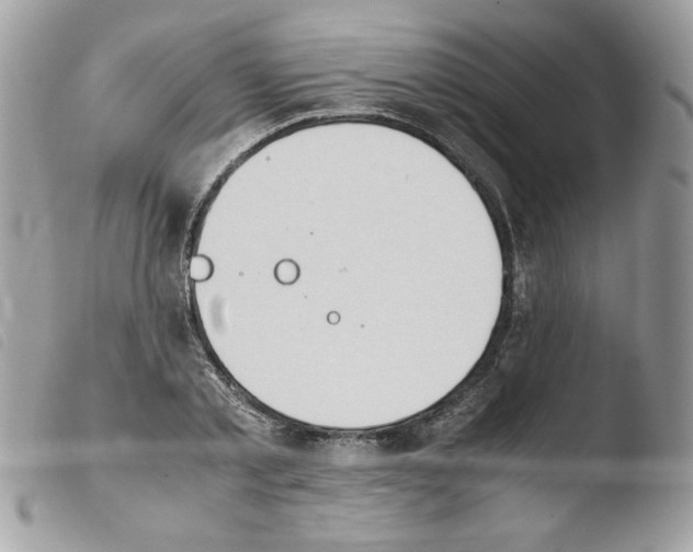 X0000103940789200810171814