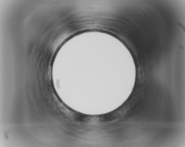 X0000103940791200810171814