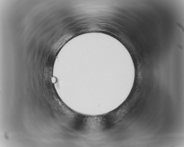 X0000103940793200810171814