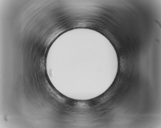 X0000103940794200810171814