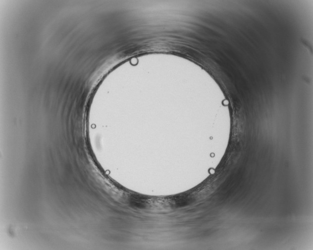 X0000103940795200810171814