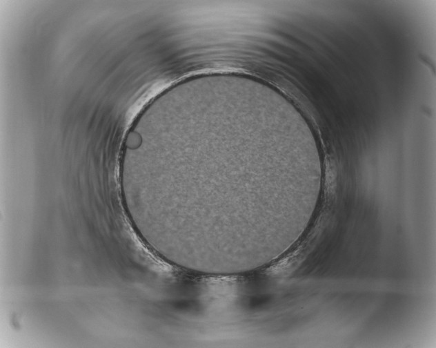 X0000103940797200810171814