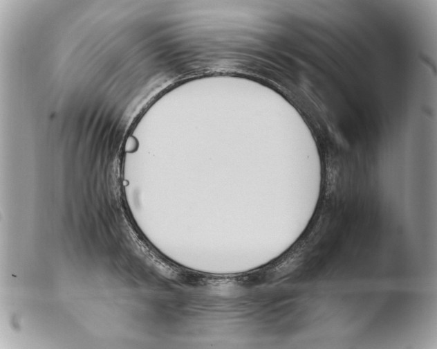 X0000103940798200810171813