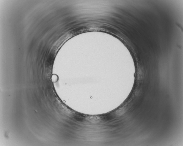 X0000103940801200810171813