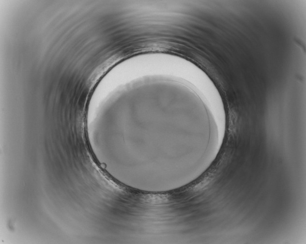 X0000103940802200810171813